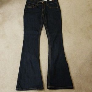 Daytrip Lynx Flare 10 Long Jeans